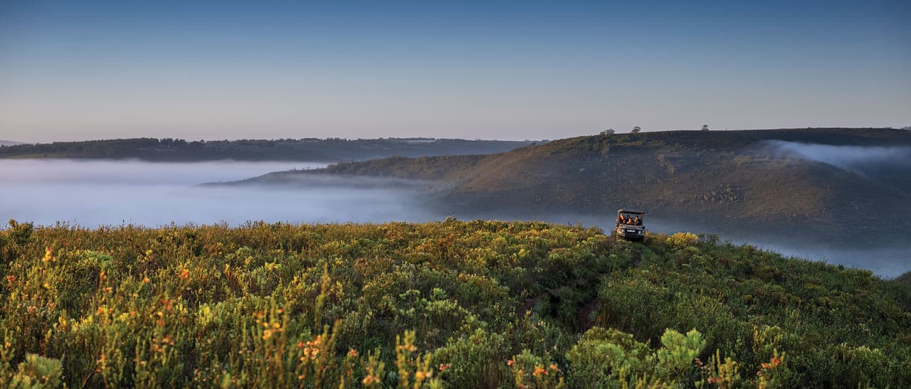 The fynbos and mountains of Gondwana Private Game Reserve