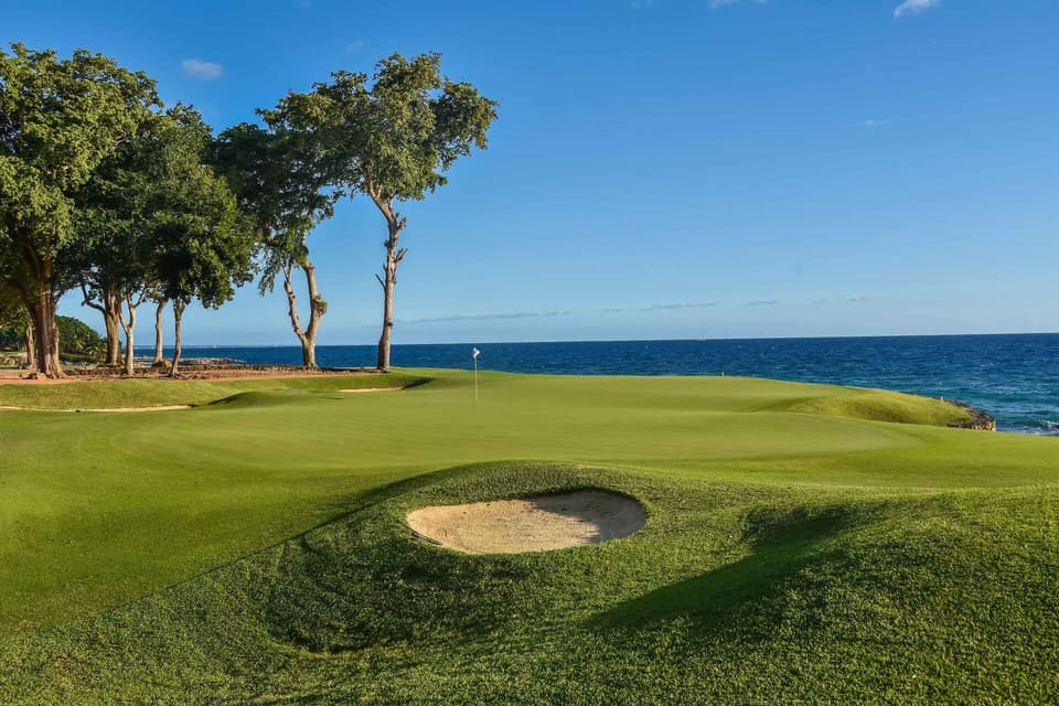 Teeth of the Dog at Casa de Campo