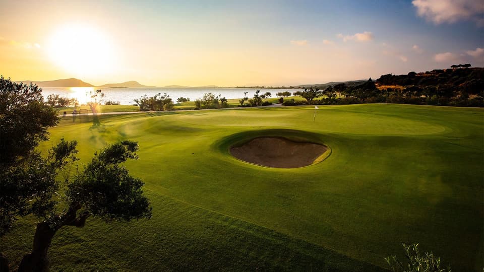 A green and olive tree on the Bay Course, with Navarino Bay beyond